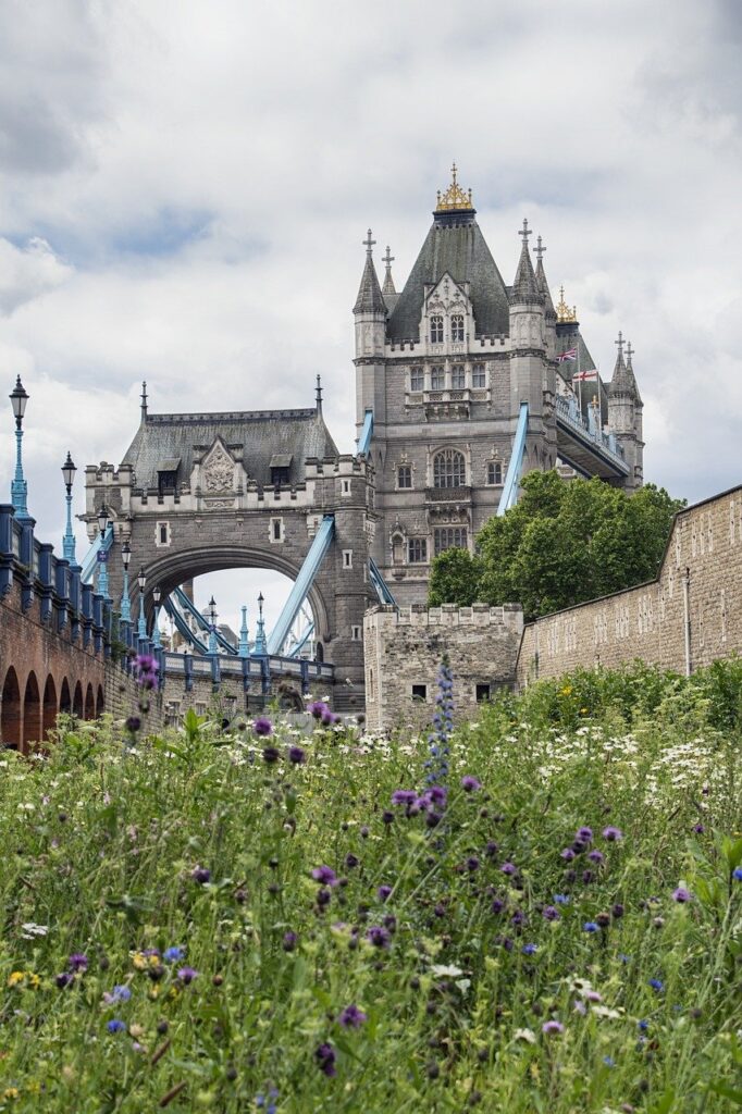 london, nature, bridge