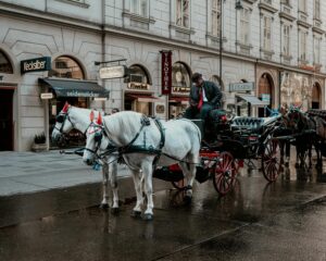 Elegant carriage ride through a charming historic city with cobblestone streets.