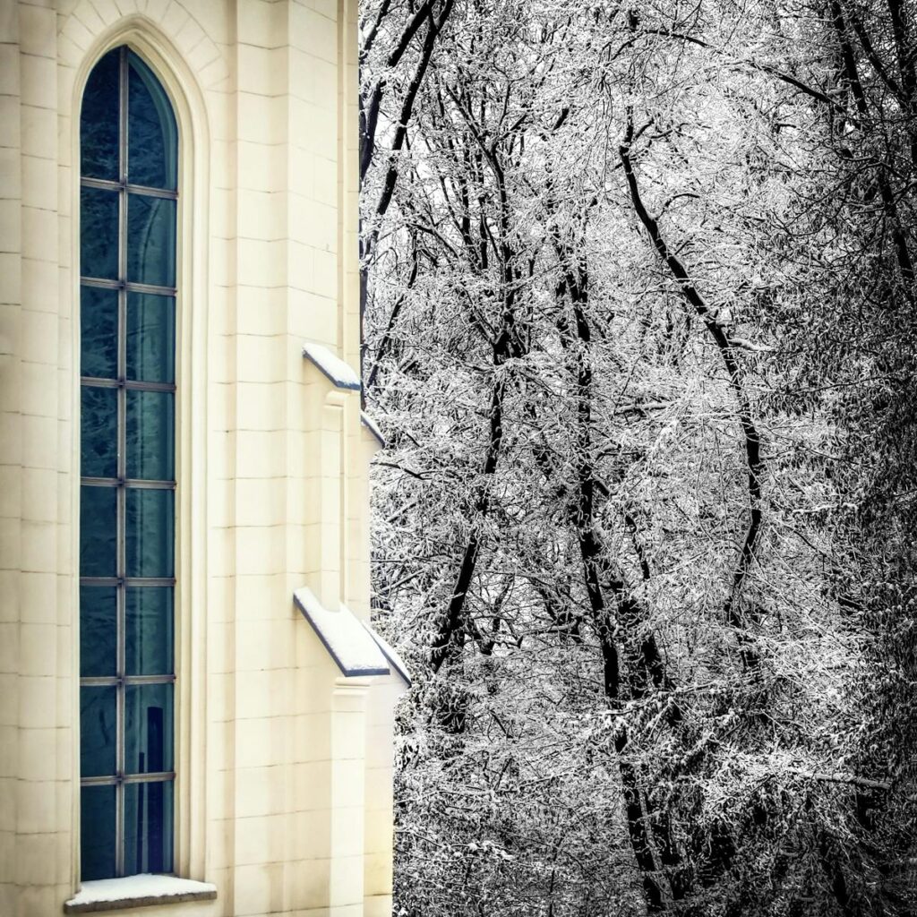 Elegant Gothic church window with snowy trees in winter. Captivating contrast of architecture and nature.