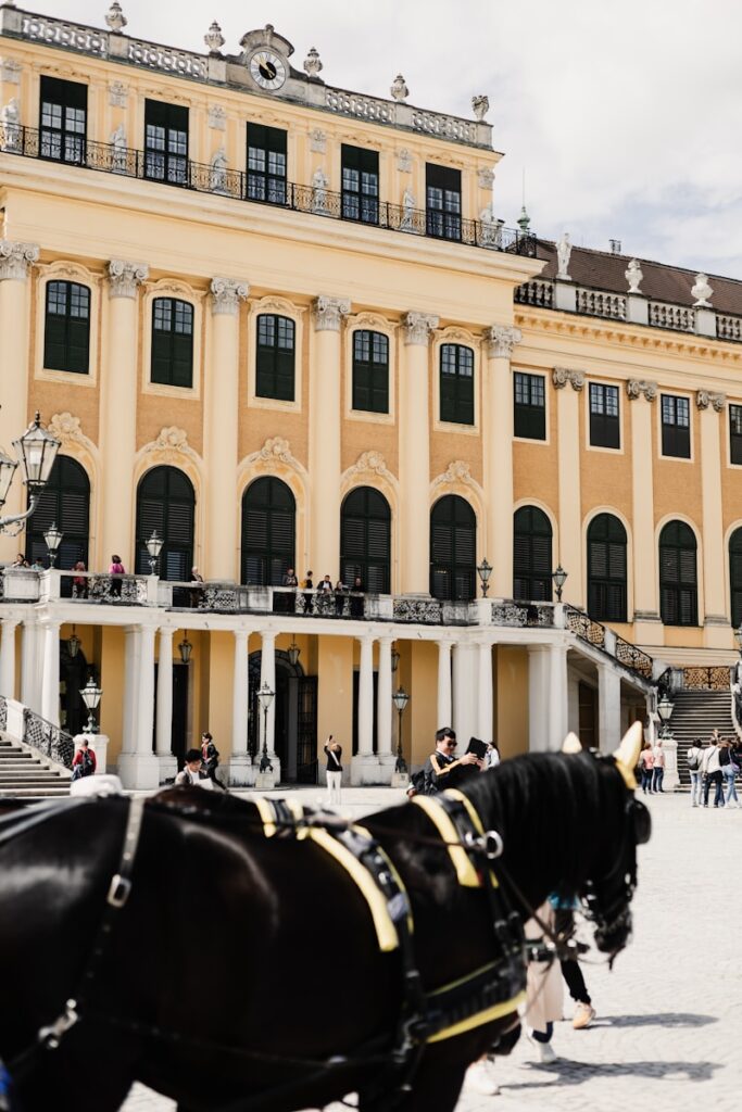 a horse drawn carriage in front of a large building